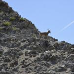 FITS_196 (May 04, 2019)